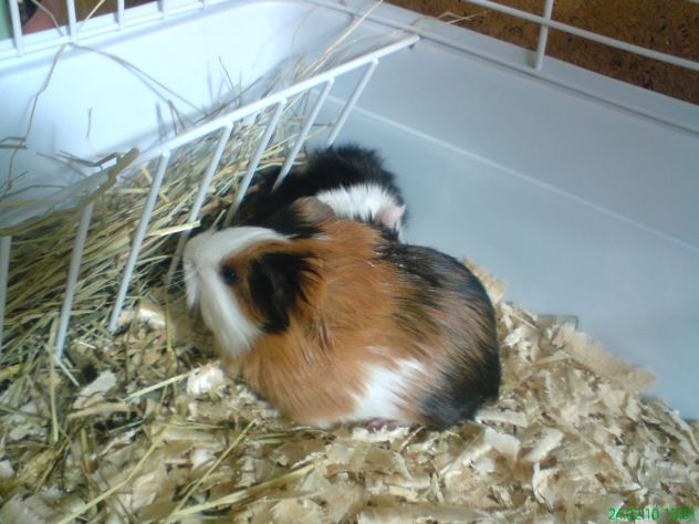 DSC01680