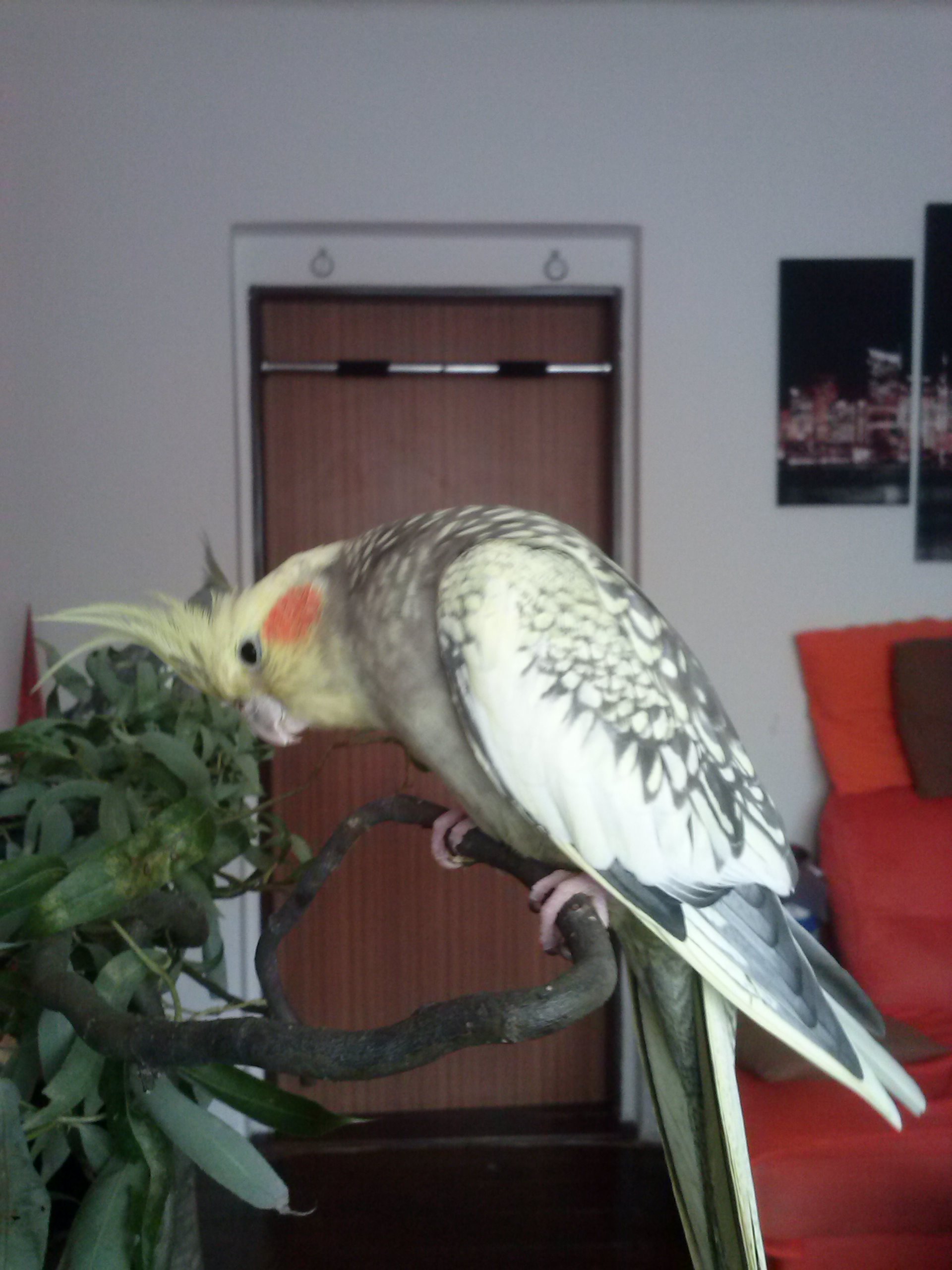 CAM01807