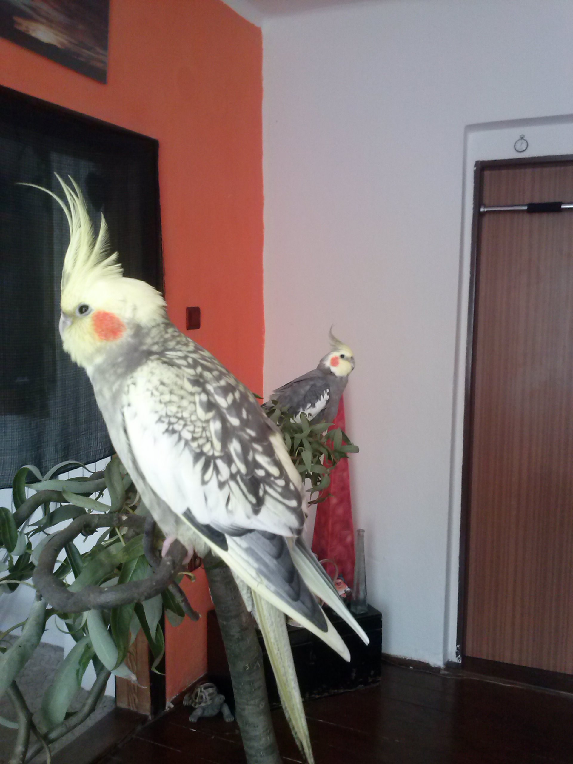 CAM01824