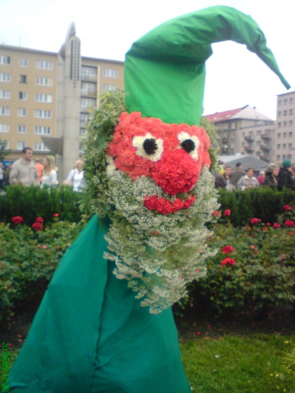 54.JPG