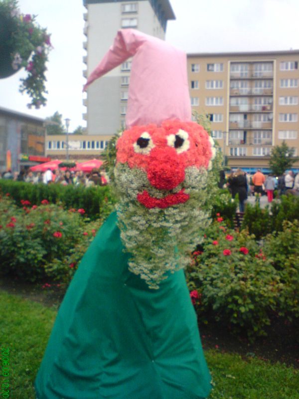 55.JPG