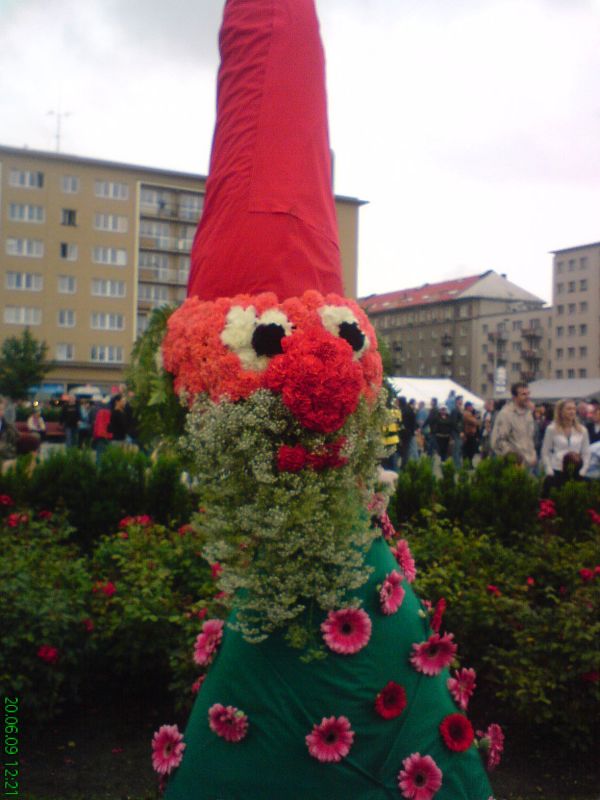 58.JPG