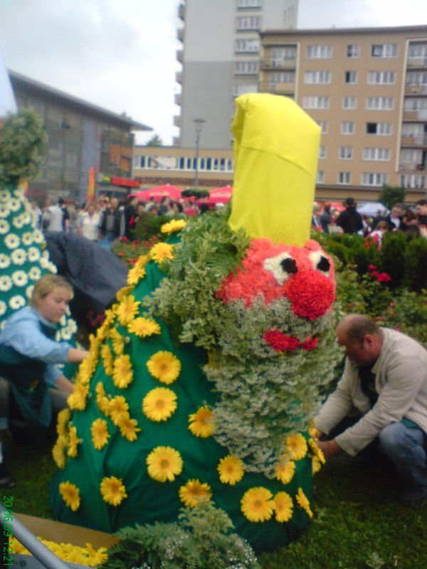 59.JPG