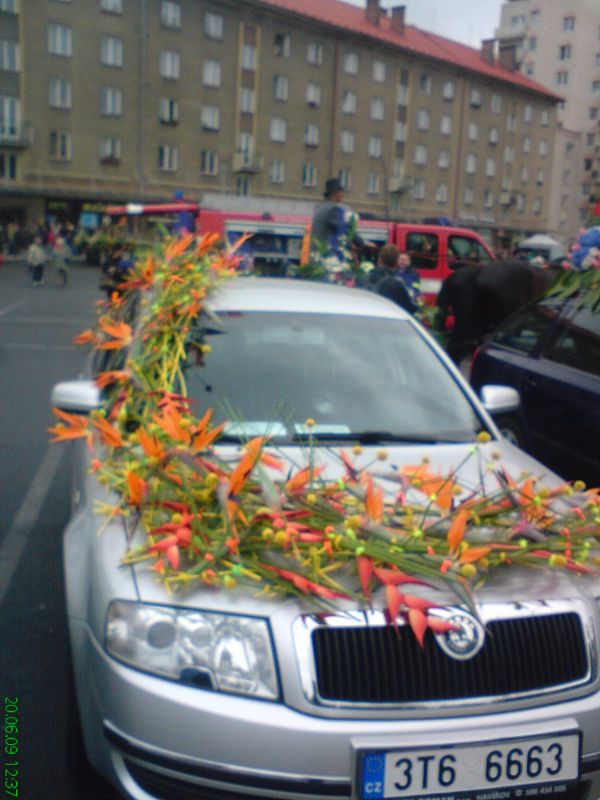 75.JPG