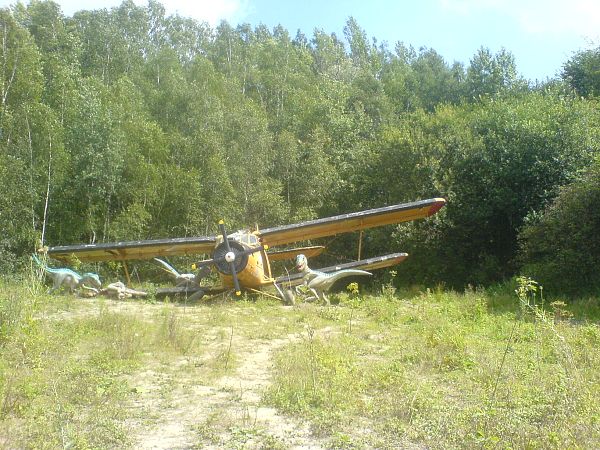 D18.JPG
