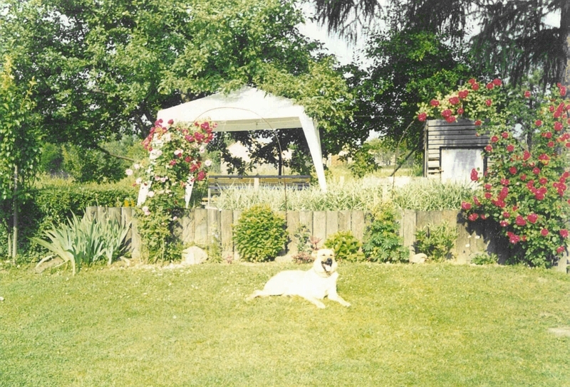 Léto 2005.jpg