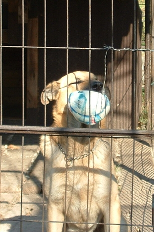 Beník.jpg