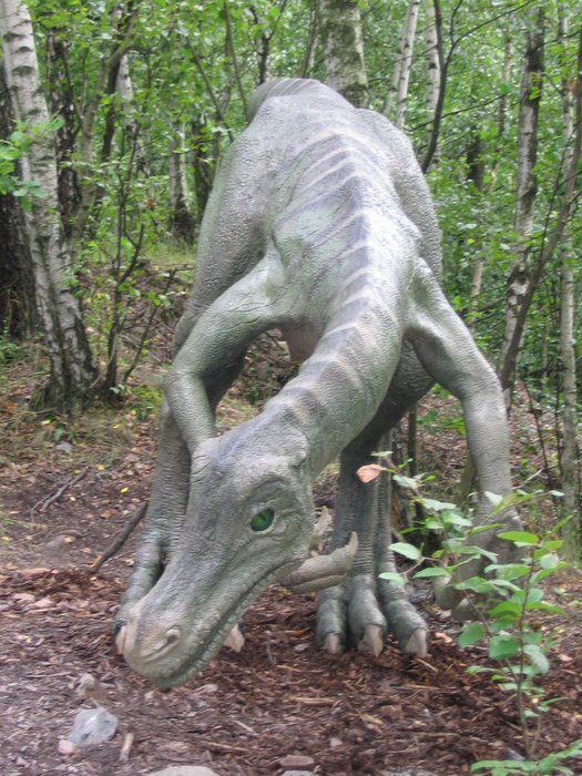D49.JPG