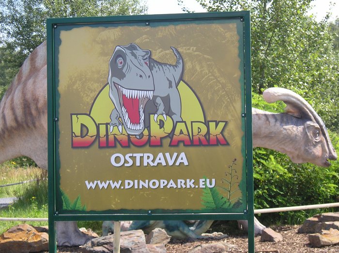 D43.JPG