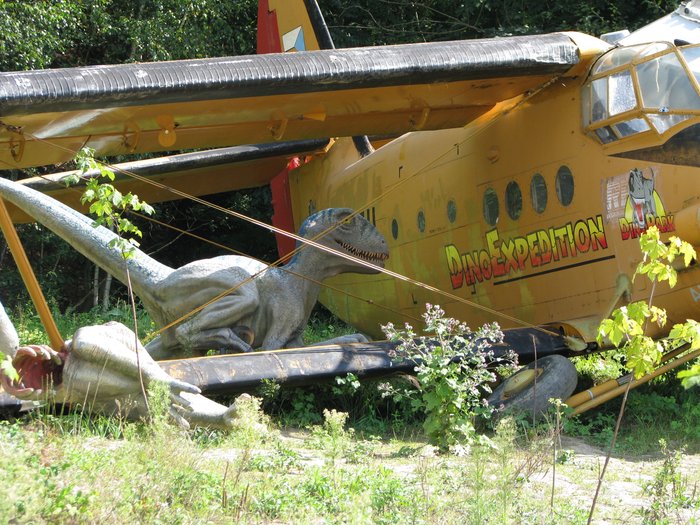 D45.JPG