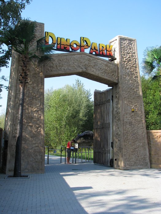 D46.JPG