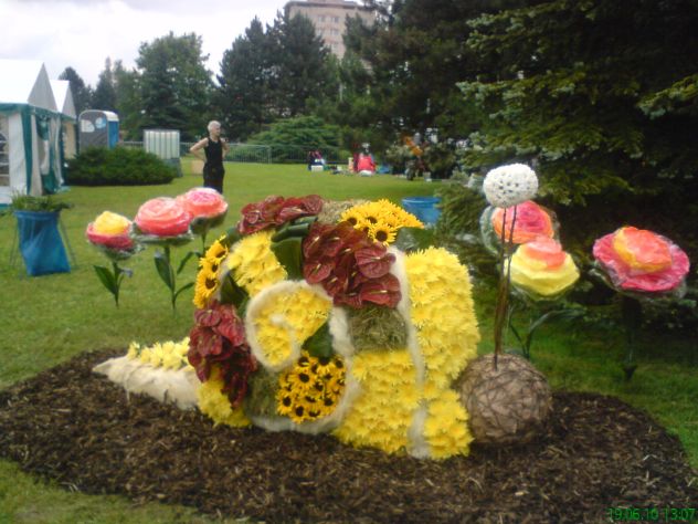04.JPG