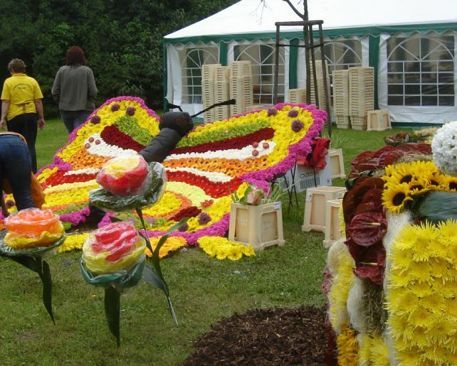 09.JPG