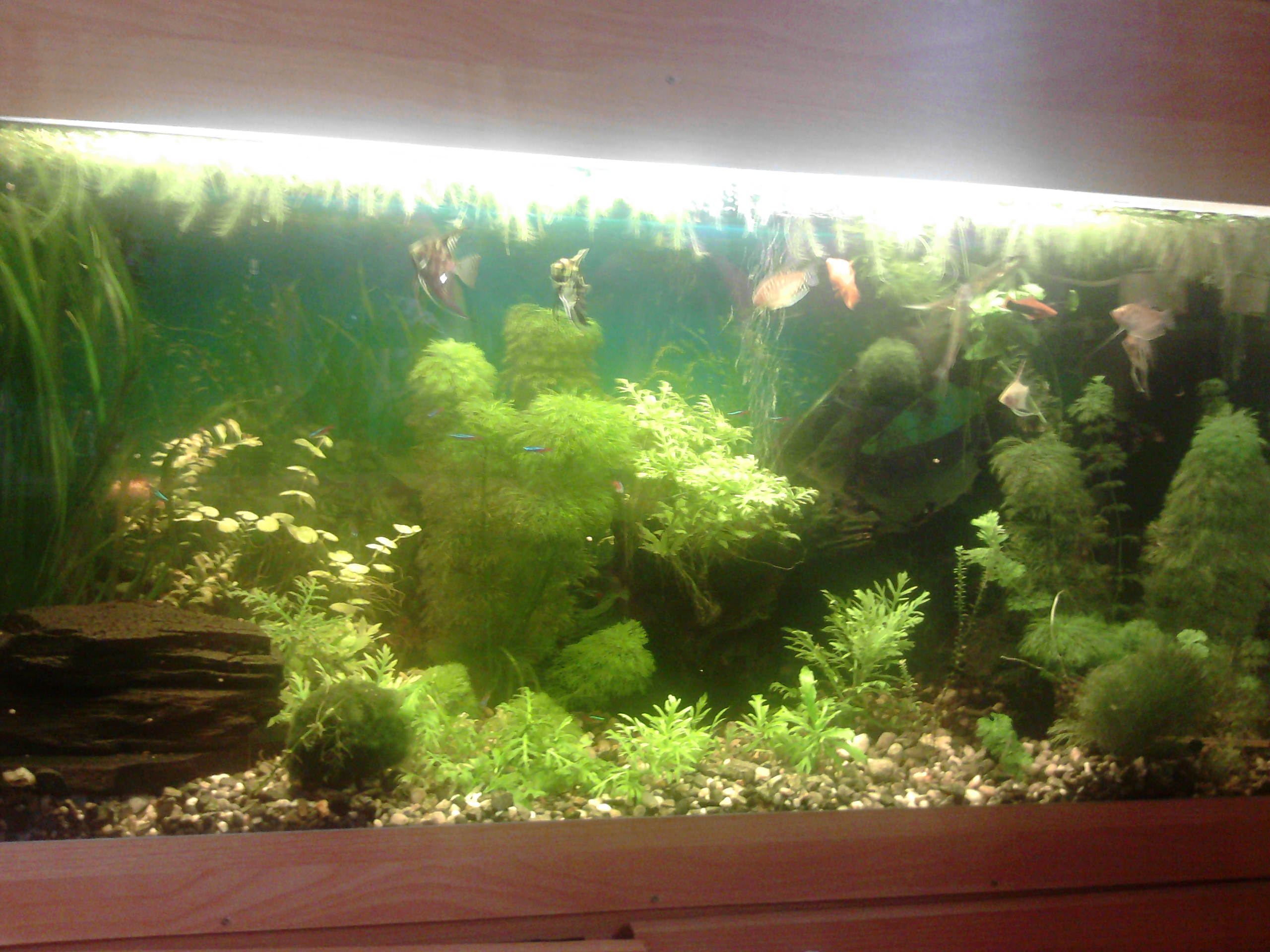 P151011_09.45_[02]